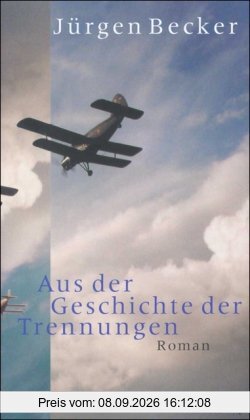 Aus der Geschichte der Trennungen: Roman