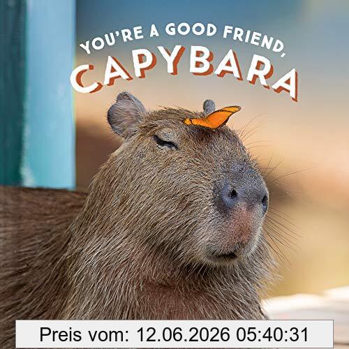 Chronicle Books You're A Good Friend, Capybara