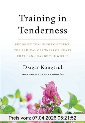 Dzigar Kongtrul Training In Tenderness, Buddhist Teachings On Tsewa, The Radical Openness Of Heart That Can Change The World