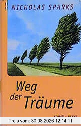 Weg der Träume: Roman