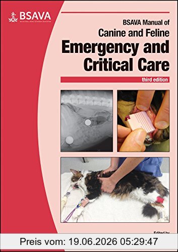 King, Lesley G. Bsava Manual Of Canine And Feline Emergency And Critical Care (Bsava British Small Animal Veterinary Association)