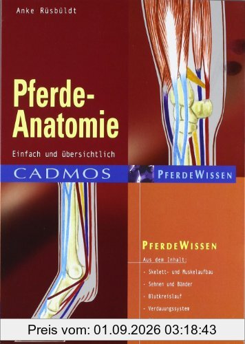 Pferde-Anatomie: Einfach und übersichtlich