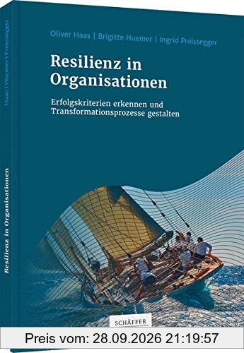 Resilienz in Organisationen: Erfolgskriterien erkennen und Transformationsprozesse gestalten
