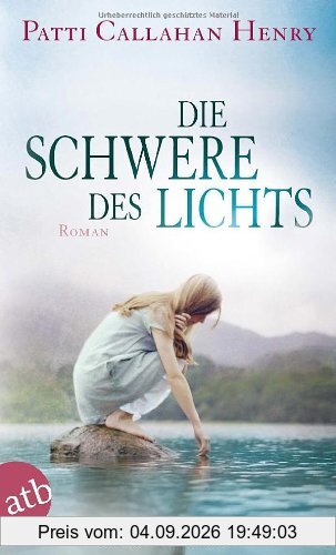 Die Schwere des Lichts: Roman