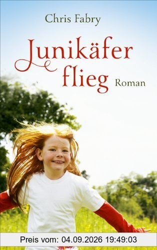 Junikäfer, flieg: Roman