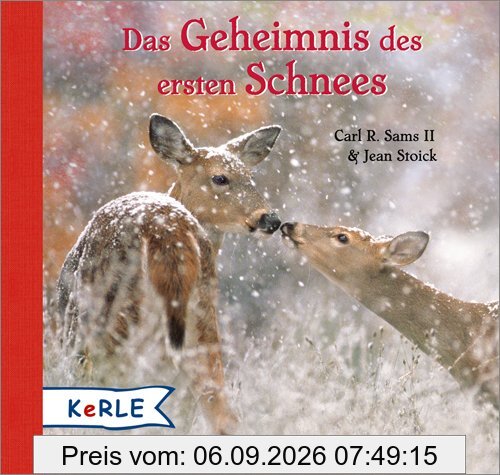 Das Geheimnis des ersten Schnees