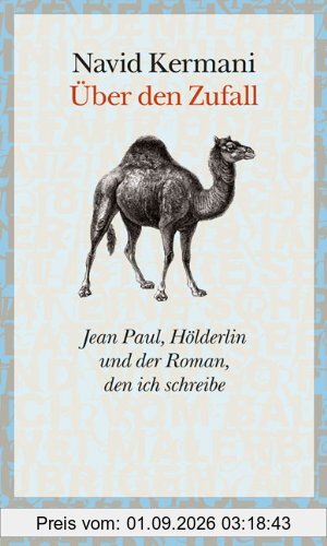 Über den Zufall: Jean Paul, Hölderlin und der Roman, den ich schreibe