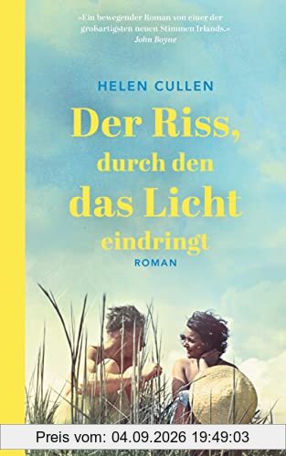 Der Riss, durch den das Licht eindringt: Roman