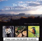 Die Tierwelt der Sächsischen Schweiz