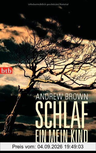 Schlaf ein, mein Kind: Roman