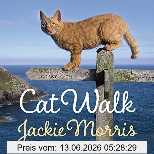 Jackie Morris Cat Walk