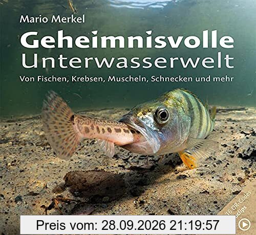 Geheimnisvolle Unterwasserwelt: Von Fischen, Krebsen, Muscheln, Schnecken und mehr