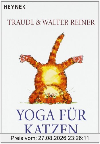 Yoga für Katzen