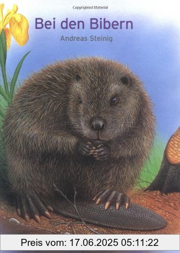 Binding : Gebundene Ausgabe, Label : Patmos, Publisher : Patmos, medium : Gebundene Ausgabe, numberOfPages : 32, publicationDate : 2006-01-15, authors : Andreas Steinig, languages : german, ISBN : 3491420555