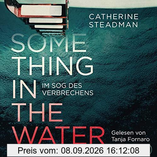 Something in the Water – Im Sog des Verbrechens: 2 CDs