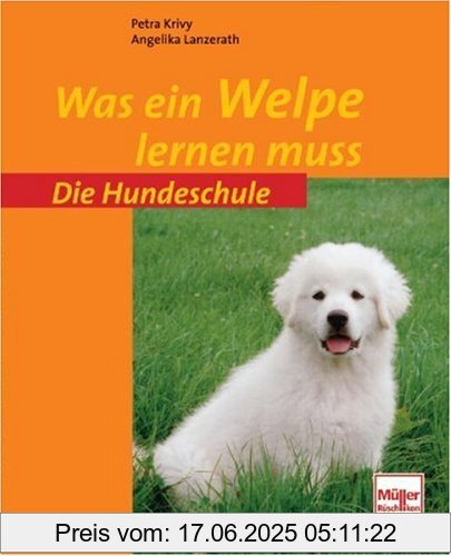 Binding : Taschenbuch, Edition : 2, Label : Müller Rüschlikon, Publisher : Müller Rüschlikon, medium : Taschenbuch, numberOfPages : 96, publicationDate : 2010-07-30, authors : Petra Krivy, Angelika Lanzerath, languages : german, ISBN : 327501689X