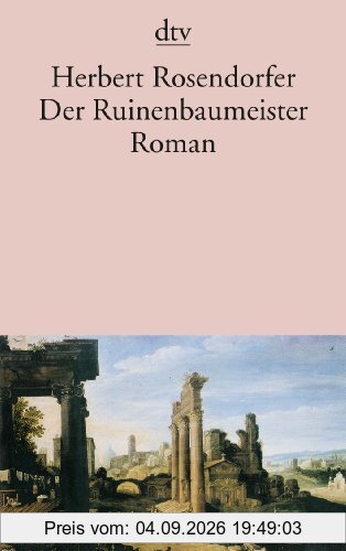 Der Ruinenbaumeister: Roman