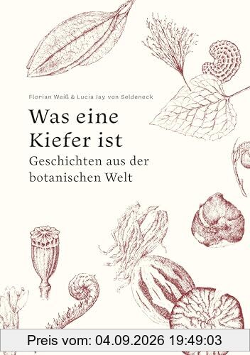 Was eine Kiefer ist: Geschichten aus der botanischen Welt