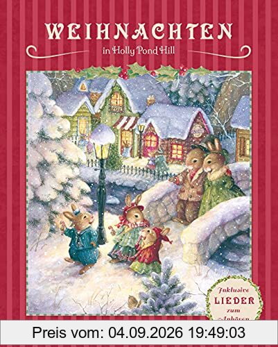 Weihnachten in Holly Pond Hill: Ein Weihnachtsbuch für die ganze Familie