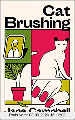 Cat Brushing: a dazzling short story collection about thirteen older women