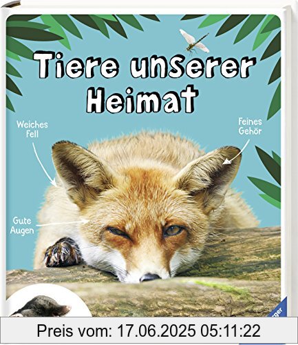 Binding : Gebundene Ausgabe, Edition : 1, Label : Ravensburger Buchverlag, Publisher : Ravensburger Buchverlag, medium : Gebundene Ausgabe, numberOfPages : 120, publicationDate : 2018-01-28, authors : Kruszewicz, Andrzej G., ISBN : 3473554502