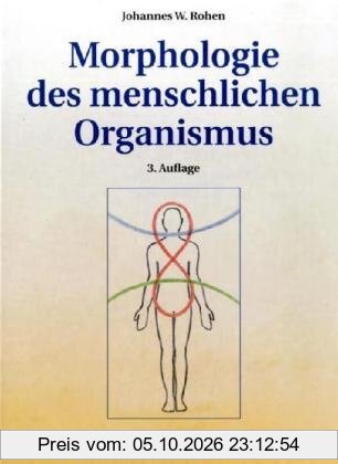 Morphologie des menschlichen Organismus
