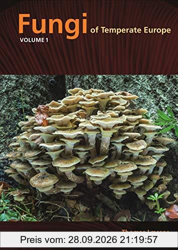 Fungi of Temperate Europe: Volume 1+2
