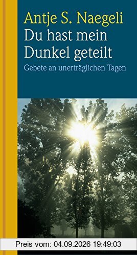 Du hast mein Dunkel geteilt: Gebete an unerträglichen Tagen
