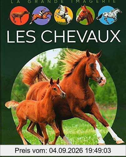 Les chevaux