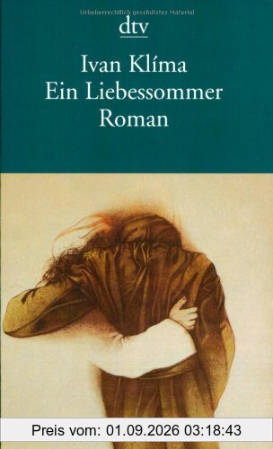 Ein Liebessommer: Roman