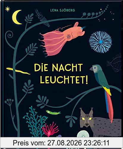 Die Nacht leuchtet!: | Bilderbuch über die Phänomene der Nacht für Kinder ab 4 Jahren, Cover leuchtet im Dunkeln