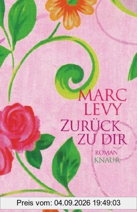 Zurück zu dir: Roman