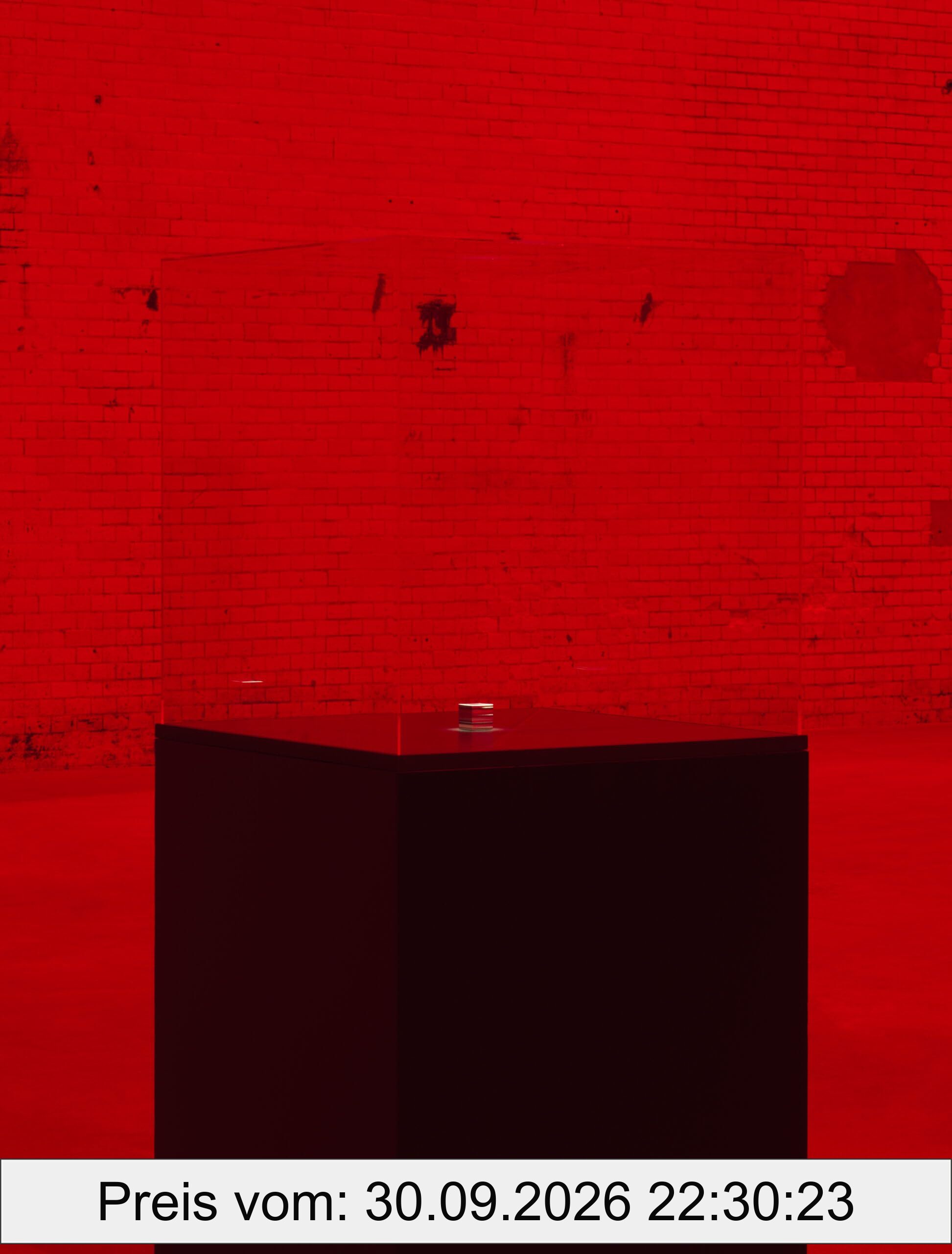 The End of the World: Alfredo Jaar
