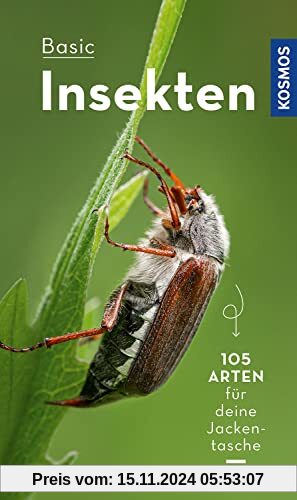 BASIC Insekten