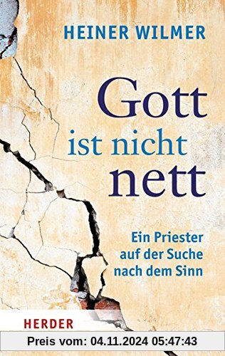 Gott ist nicht nett: Ein Priester auf der Suche nach dem Sinn (HERDER spektrum)