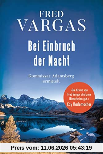 Bei Einbruch der Nacht: Kommissar Adamsberg ermittelt - Der 2. Fall