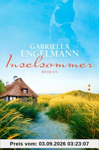 Inselsommer: Roman