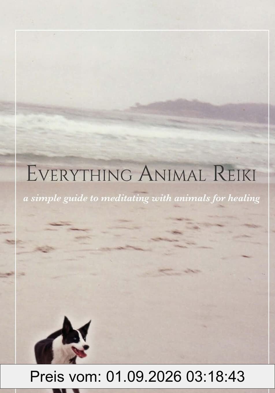 Everything Animal Reiki: A Simple Guide to Meditating with Animals for Healing