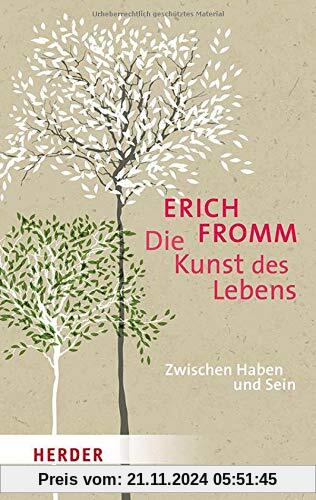 Die Kunst des Lebens: Zwischen Haben und Sein (HERDER spektrum)