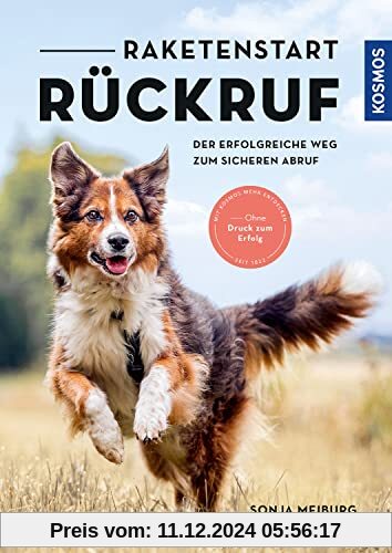 Raketenstart-Rückruf