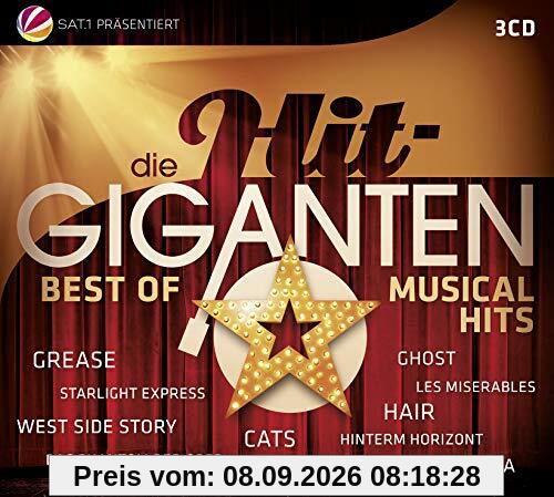 Die Hit Giganten Best of Musical Hits