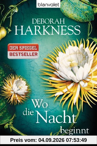Wo die Nacht beginnt: Roman