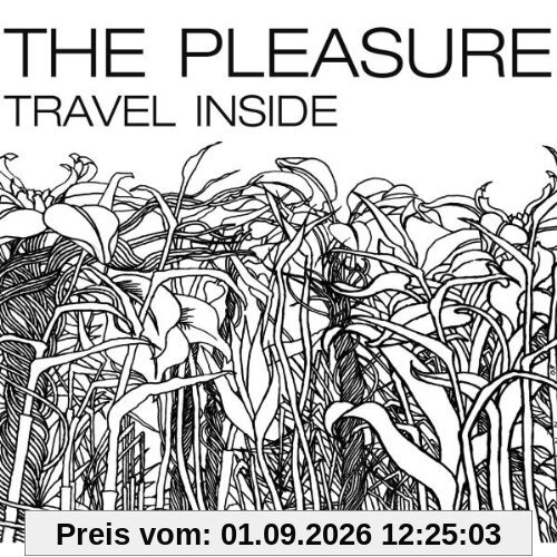 Travel Inside