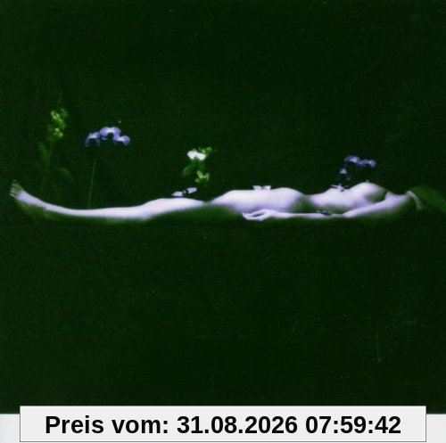 Invisible Front.2005