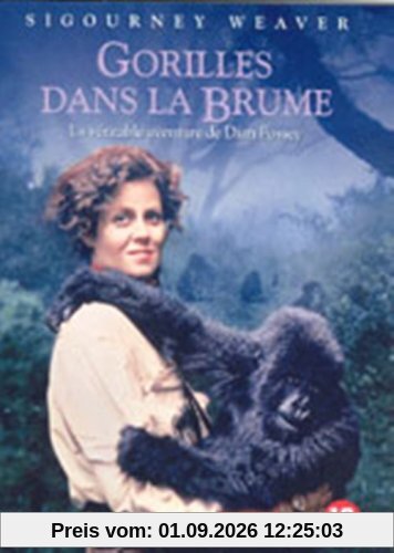 Gorilles Dans La Brume