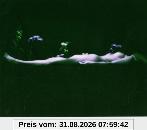 Invisible Front.2005