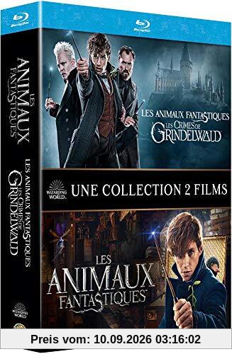 Coffret les animaux fantastiques 1 et 2 : les animaux fantastiques ; les crimes de grindelwald [Blu-ray] [FR Import]