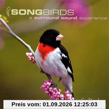 Songbirds