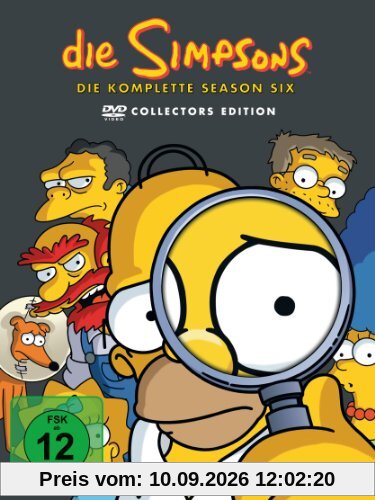 Die Simpsons - Die komplette Season 6 (Collector's Edition, 4 DVDs)