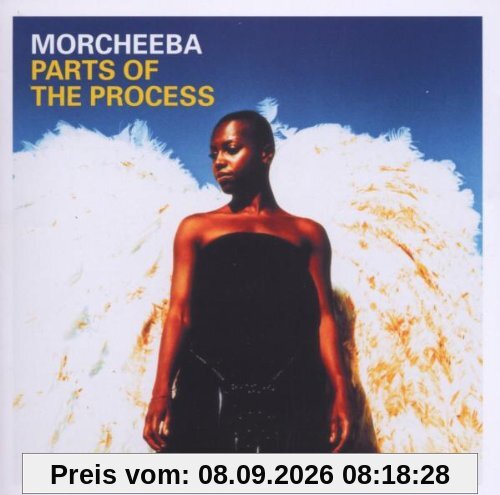 Parts of the Process (Best of)